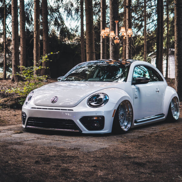 Tief im Wald-03618